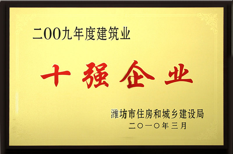 2009 top ten enterprises in the construction industry