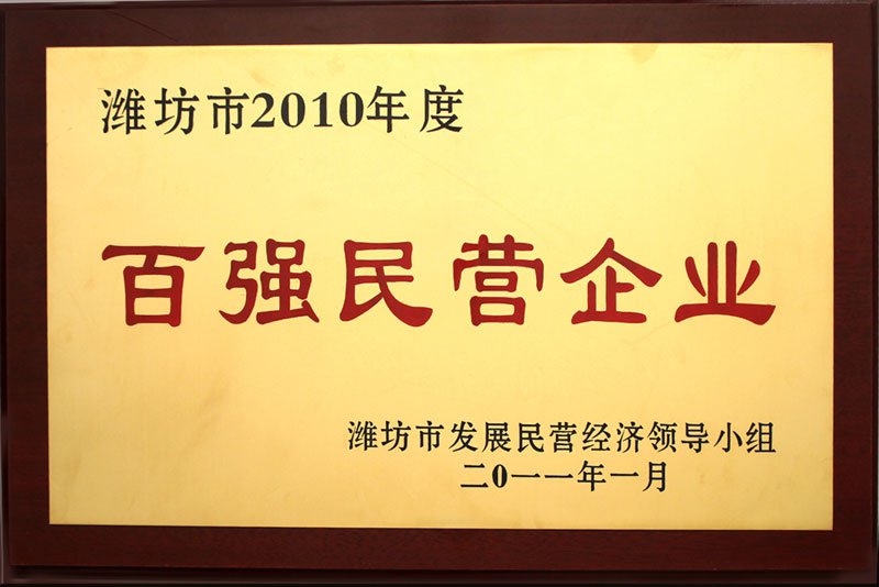 2010 top 100 private enterprises